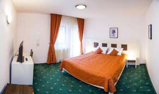 Отель Hotel Draga Maria Предял Двухместный номер с 1 кроватью и балконом-14